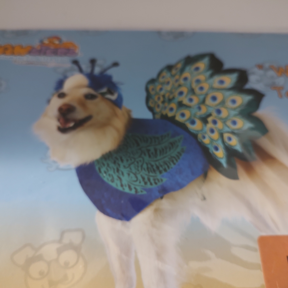 California Costumes Blue & Teal Peacock Dog Outfit